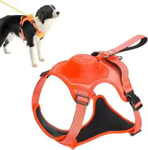 DogNova Pro®