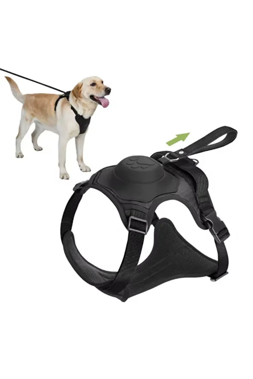 DogNova Pro®