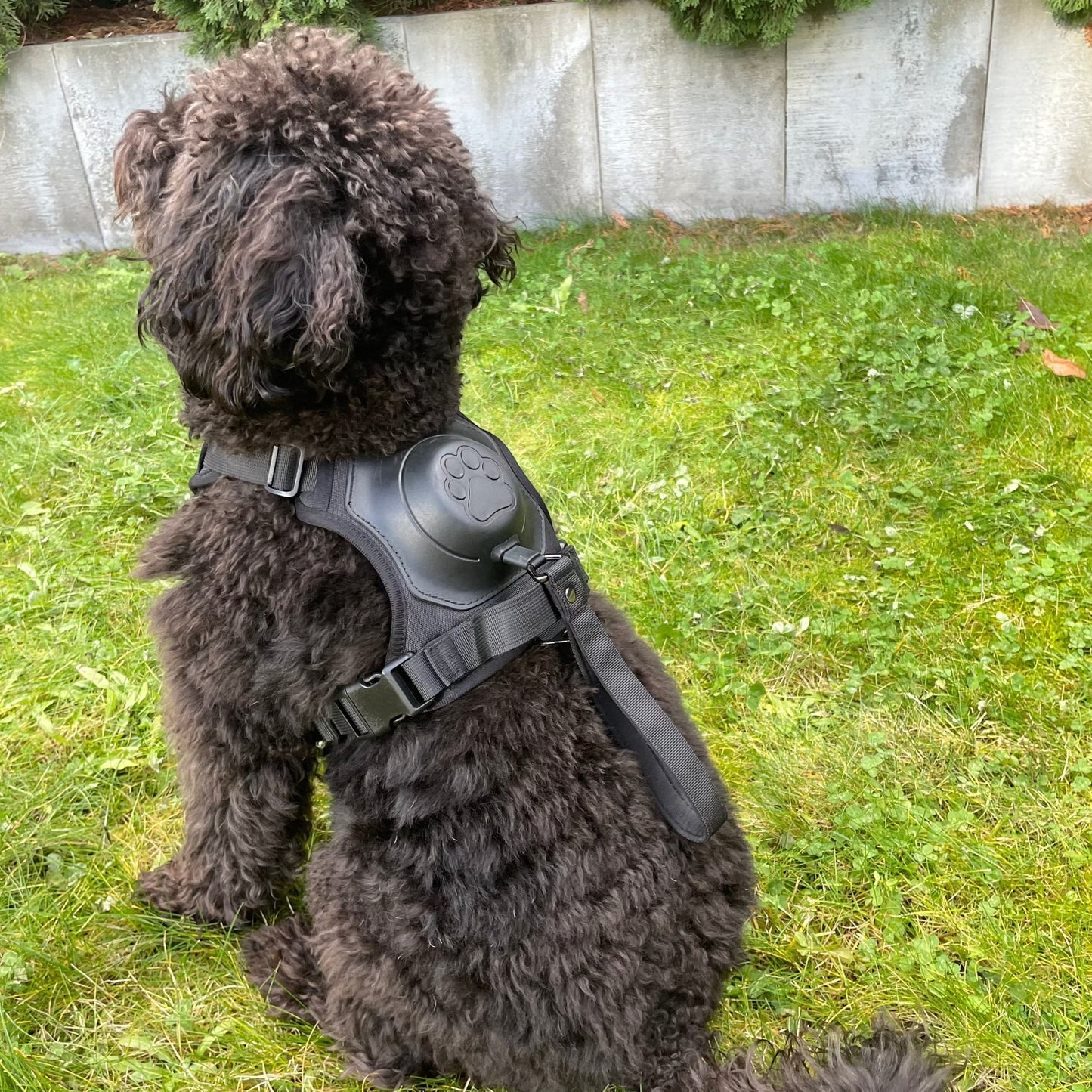 DogNova Pro®