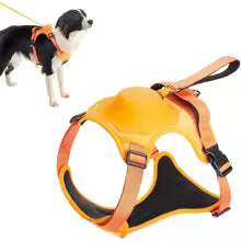 DogNova Pro®